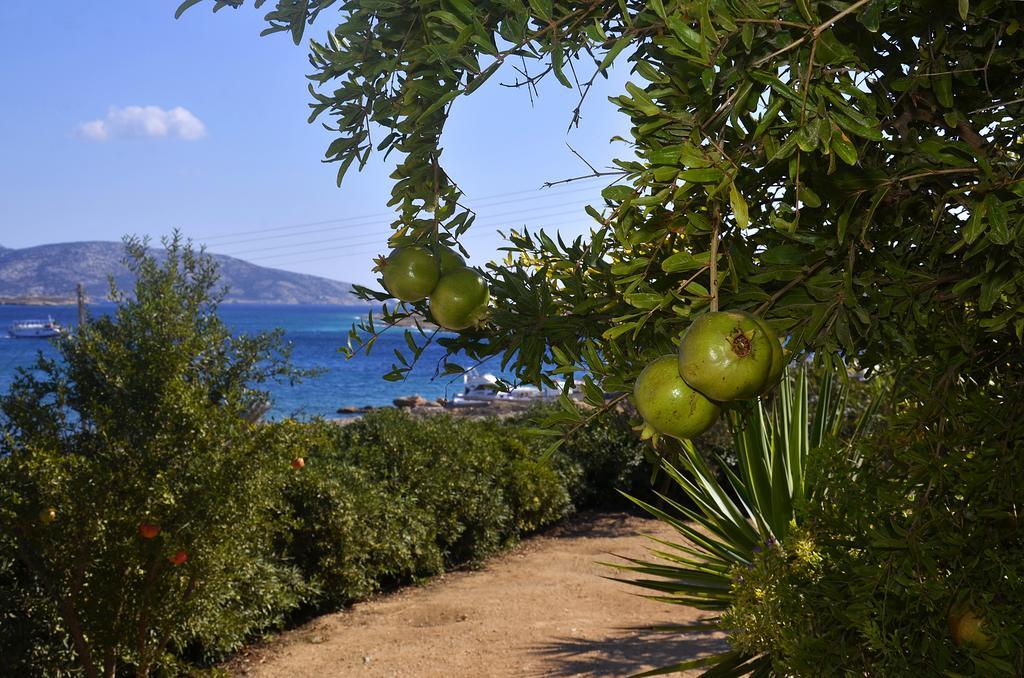 Onar Studios Koufonisia Esterno foto